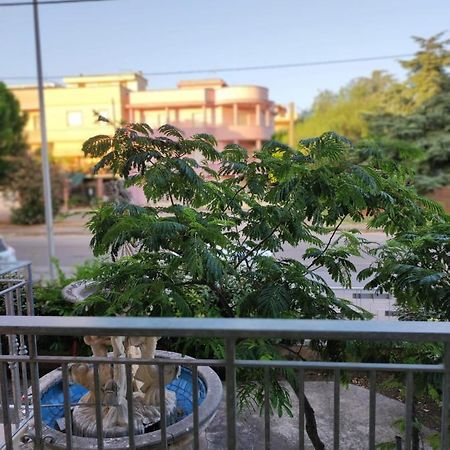 B&B Mazzini 格罗塔列 外观 照片